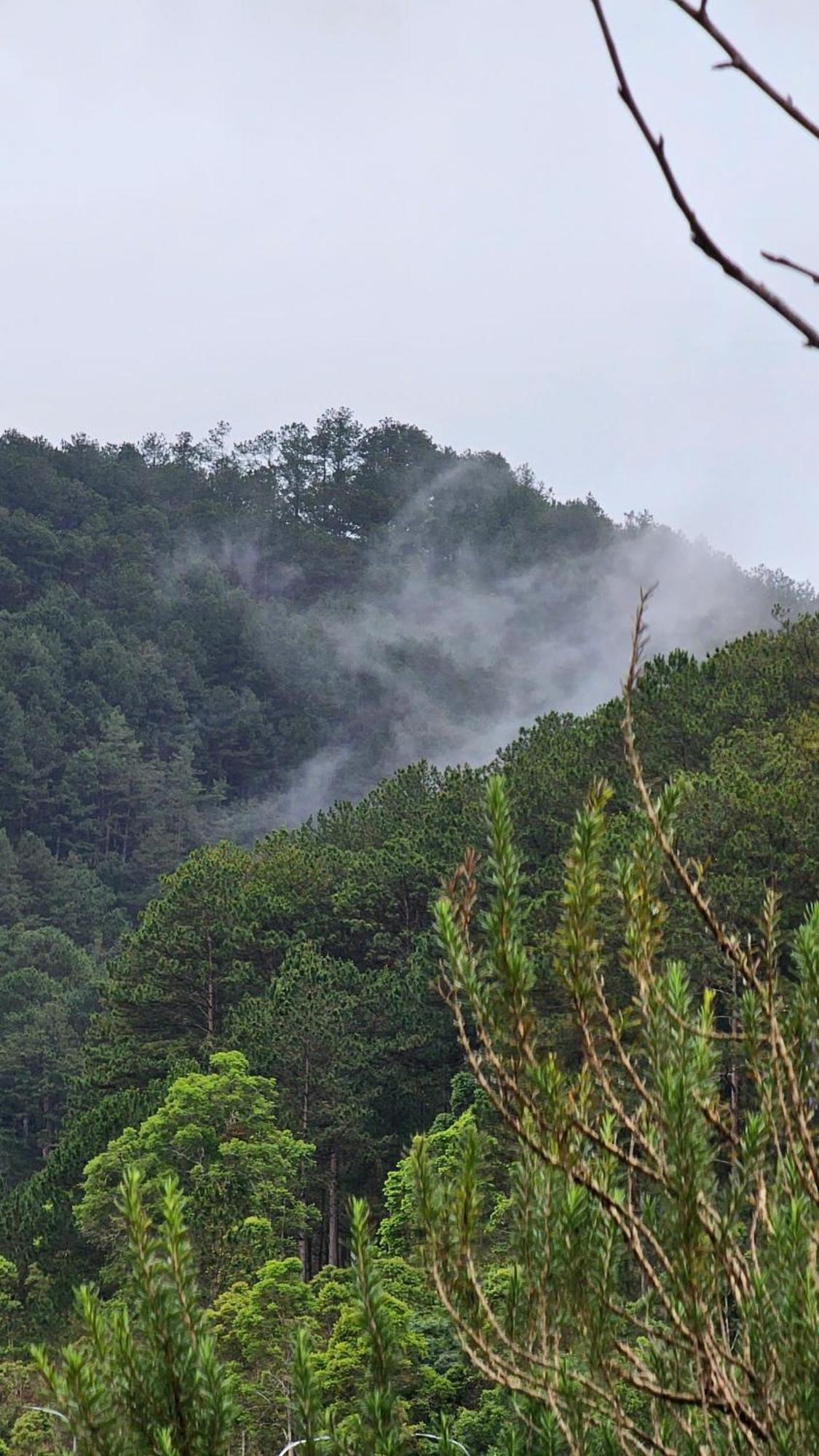 Vuon Nha Cui Homestay Dalat Eksteriør bilde