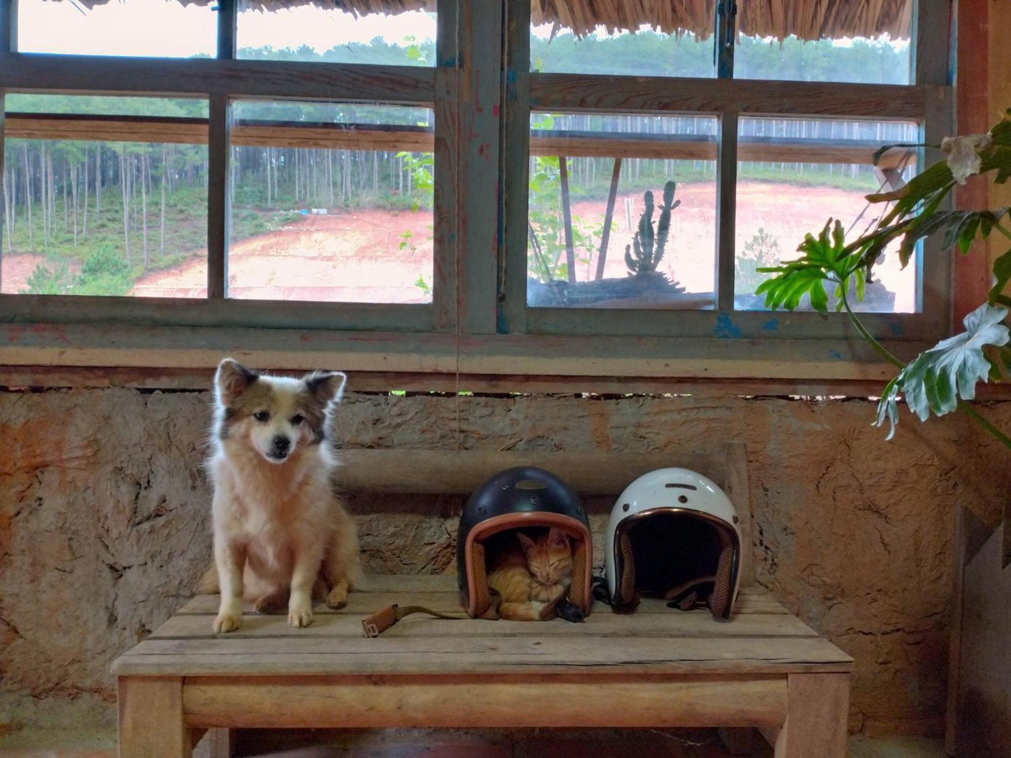 Vuon Nha Cui Homestay Dalat Eksteriør bilde