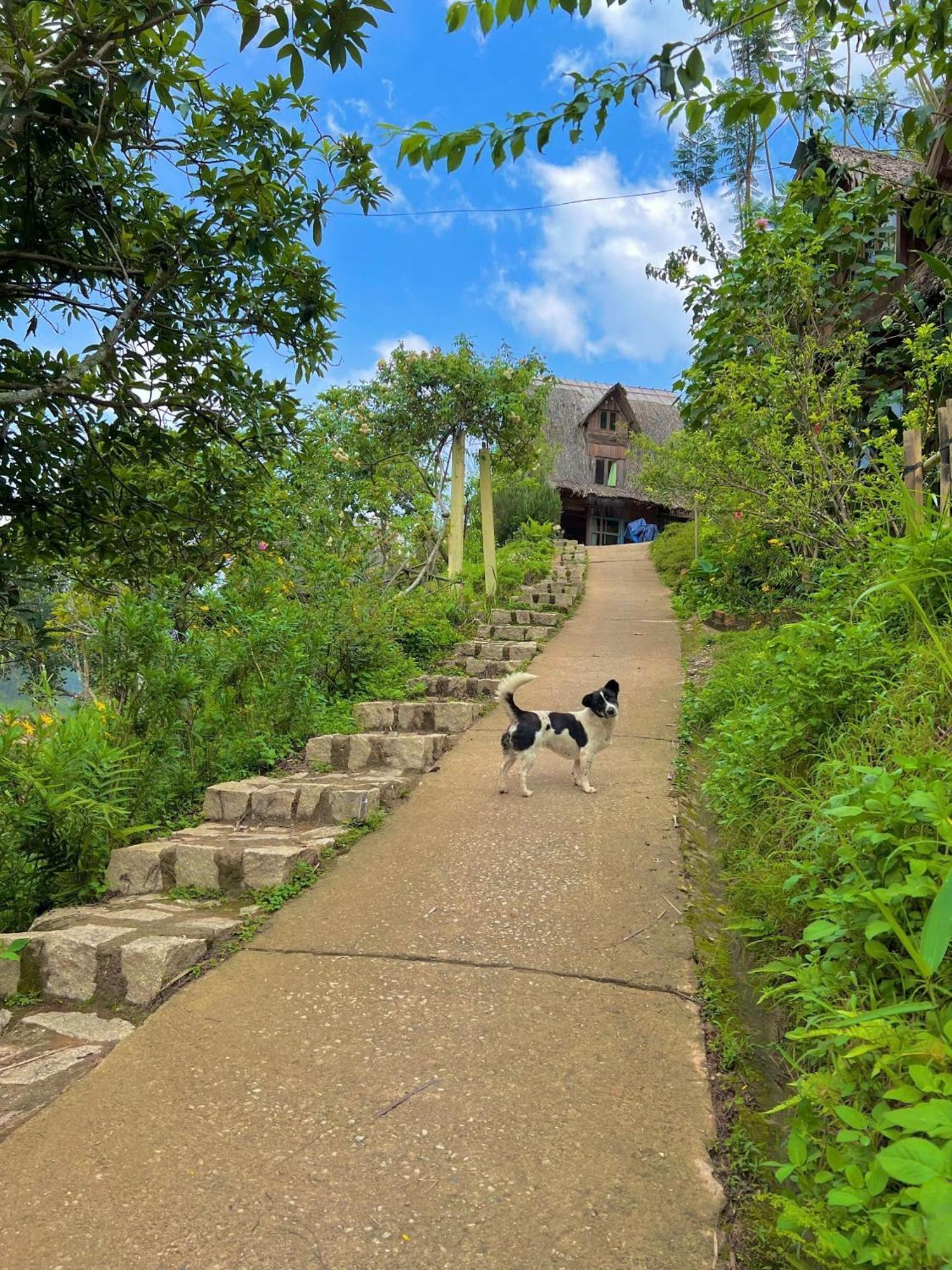 Vuon Nha Cui Homestay Dalat Eksteriør bilde